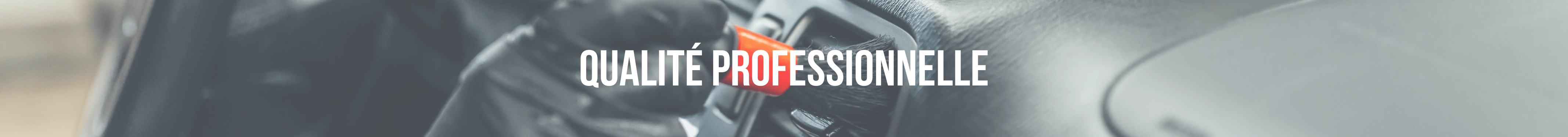 Section qualité professionnelle de mistershine